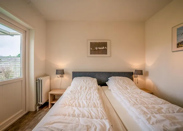 Orchismient 2 * De Koog (Texel)